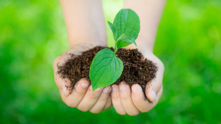 Sợ thuốc trừ sâu có hại, vậy thì loại nấm kí sinh này sẽ là tương lai mới cho ngành nông nghiệp - Ảnh 4. Sợ thuốc trừ sâu có hại, vậy thì loại nấm kí sinh này sẽ là tương lai mới cho ngành nông nghiệp - Ảnh 4.