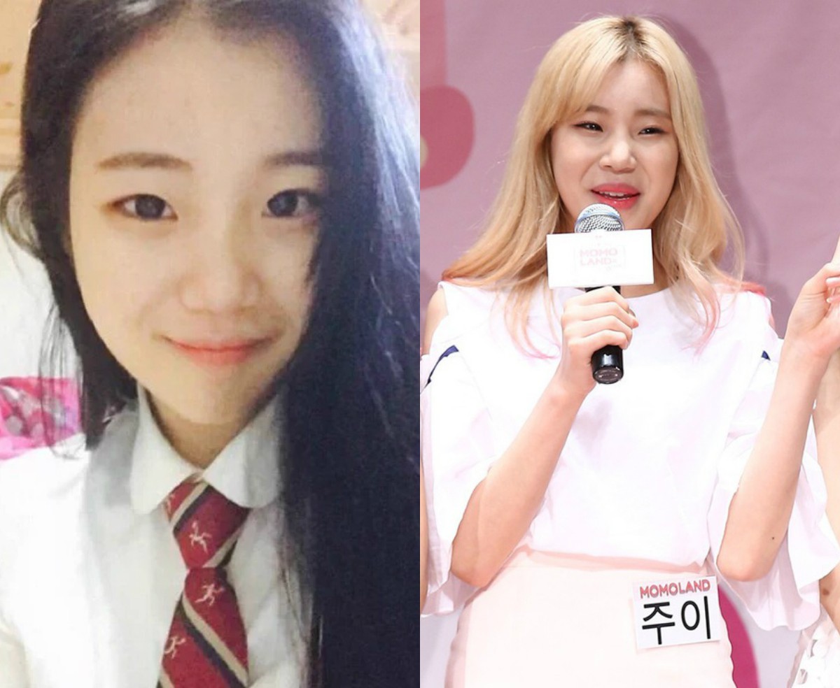 jooe-3-15351671546961431194245.jpg