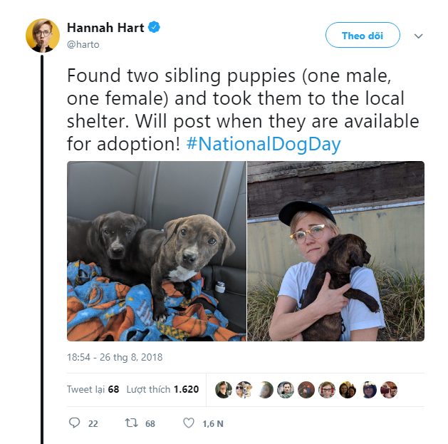 Dân mạng hưởng ứng nhiệt liệt National Dog Day - Ngày các chú cún cưng được tôn vinh - Ảnh 4.