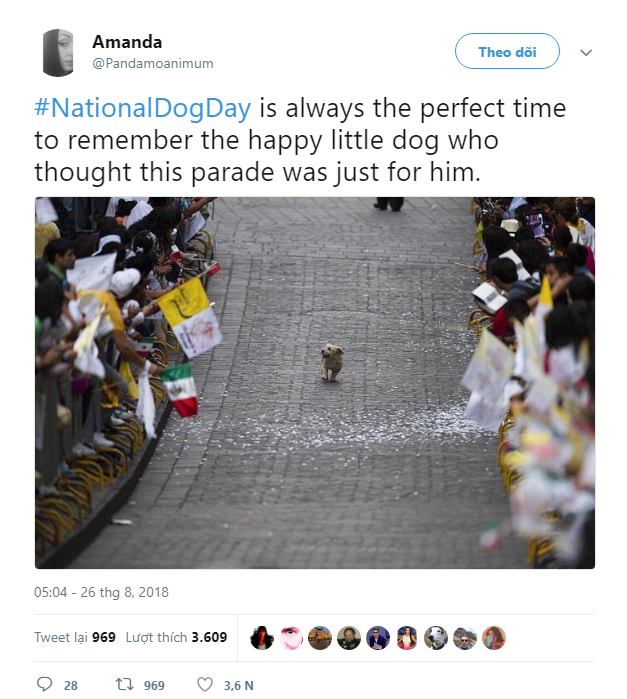 Dân mạng hưởng ứng nhiệt liệt National Dog Day - Ngày các chú cún cưng được tôn vinh - Ảnh 2.