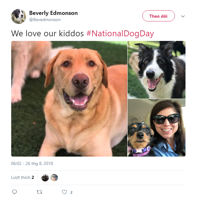 Dân mạng hưởng ứng nhiệt liệt National Dog Day - Ngày các chú cún cưng được tôn vinh - Ảnh 5.