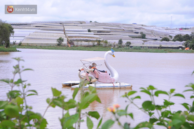 Đà Lạt nóng lên vì nhà kính: Những mảng xanh bị lấp, hàng loạt vườn tược ngập úng khiến người dân khổ sở - Ảnh 10.