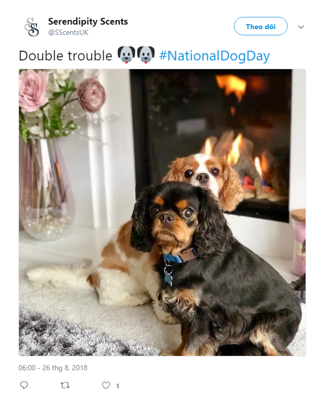 Dân mạng hưởng ứng nhiệt liệt National Dog Day - Ngày các chú cún cưng được tôn vinh - Ảnh 3.