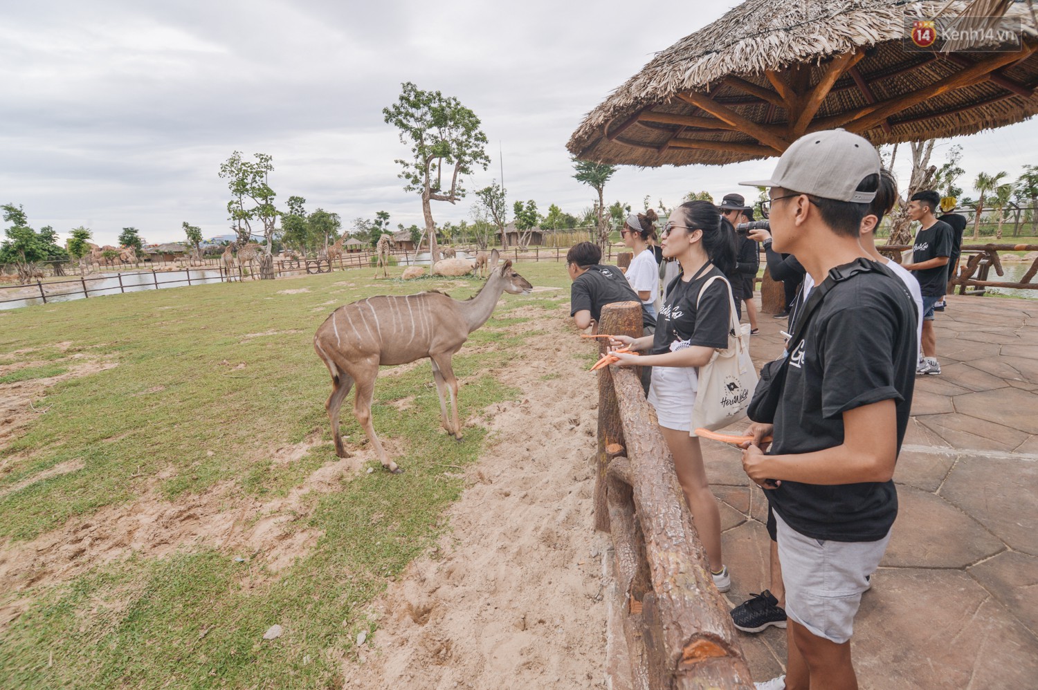 Từ bỏ hình ảnh thục nữ, các bánh bèo của Here We Go quẩy hết cỡ trong những thử thách cảm giác mạnh - Ảnh 17.