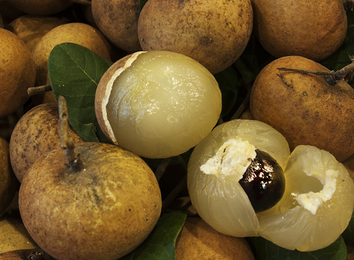 Nhãn bắp cải ở Vũng Tàu có gì đặc biệt mà giá gấp 10 lần nhãn thường? - Ảnh 3. Nhãn bắp cải ở Vũng Tàu có gì đặc biệt mà giá gấp 10 lần nhãn thường? - Ảnh 3.