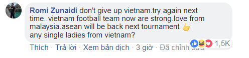 Đừng khóc Việt Nam, các bạn là niềm tự hào của Đông Nam Á - Ảnh 3.