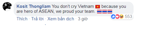 Đừng khóc Việt Nam, các bạn là niềm tự hào của Đông Nam Á - Ảnh 2.