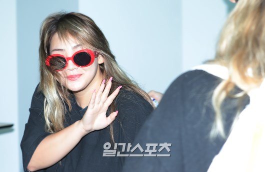 CL (2NE1) nóng bỏng một thời giờ phát tướng đến mức khó nhận ra - Ảnh 4.