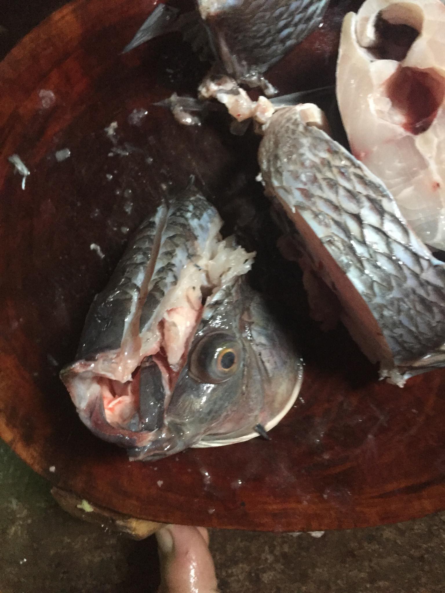 Vợ trẻ hốt hoảng sau khi nhờ chồng chặt hộ con cá, cư dân mạng đặt câu hỏi lớn sau khi nhìn thành quả: Đang giận bà xã à? - Ảnh 2.