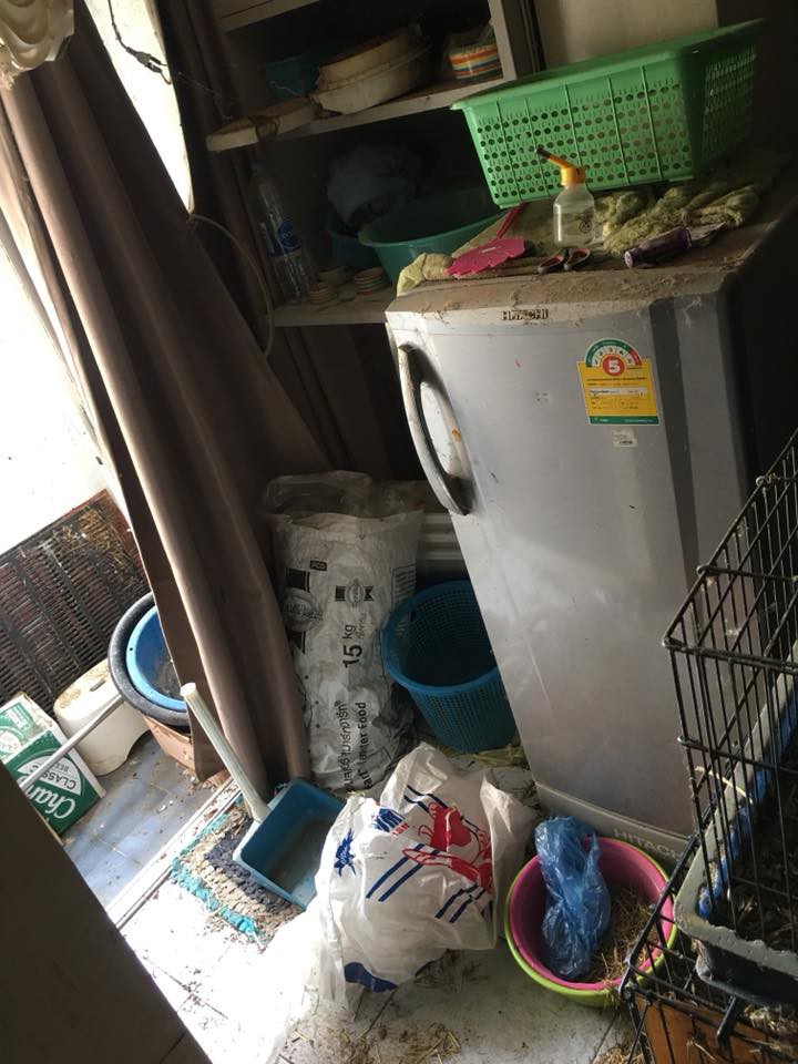 Vừa mở cửa, chủ căn hộ chung cư “chết điếng” với khung cảnh tan hoang như phim kinh dị - Ảnh 3. Vừa mở cửa, chủ căn hộ chung cư “chết điếng” với khung cảnh tan hoang như phim kinh dị - Ảnh 3.