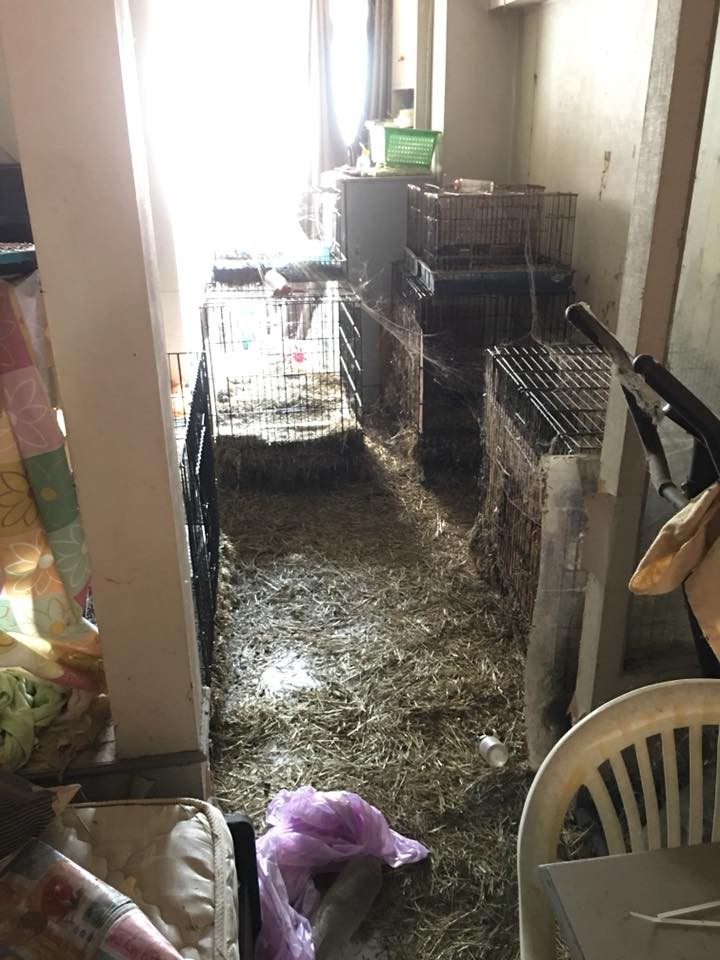 Vừa mở cửa, chủ căn hộ chung cư “chết điếng” với khung cảnh tan hoang như phim kinh dị - Ảnh 4. Vừa mở cửa, chủ căn hộ chung cư “chết điếng” với khung cảnh tan hoang như phim kinh dị - Ảnh 4.