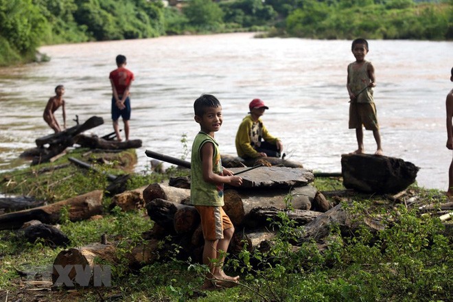 Hình ảnh trẻ em Điện Biên liều mình vớt củi giữa dòng nước lũ - Ảnh 1.
