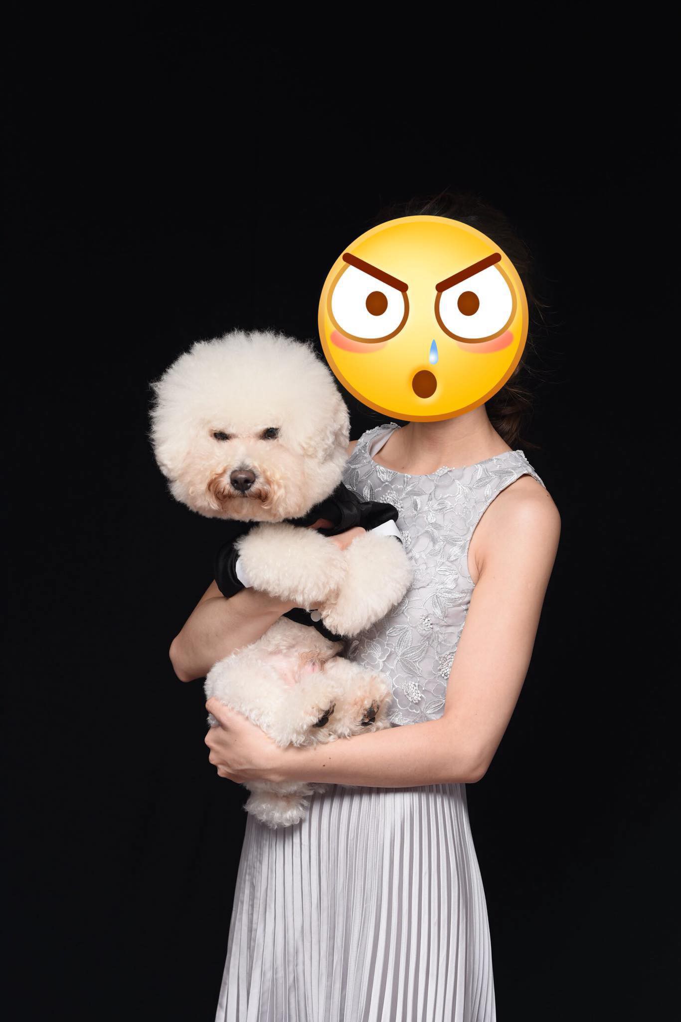 Theo sen đi chụp ảnh cưới, boss trở thành nhân vật chính với gương mặt sưng sỉa trong mọi khung hình - Ảnh 4. Theo sen đi chụp ảnh cưới, boss trở thành nhân vật chính với gương mặt sưng sỉa trong mọi khung hình - Ảnh 4.