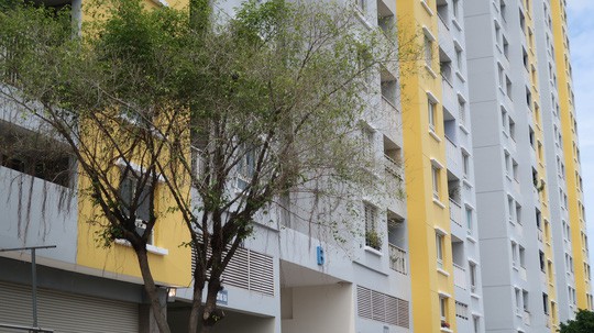 Khởi tố Trưởng ban Quản l&yacute; Chung cư Carina - Ảnh 3.