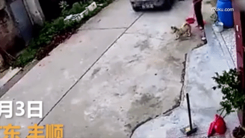 Clip: Bà cô một mình dùng chổi chống lại kẻ trộm chó táo tợn đi ô tô - Ảnh 2.