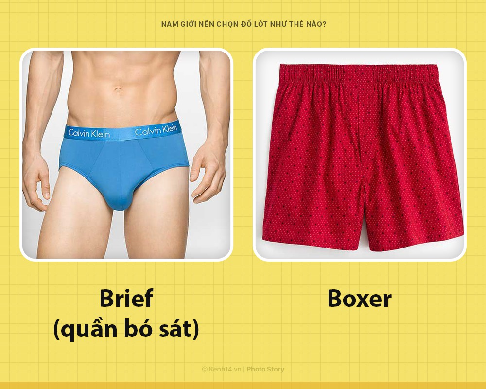 Brief vs boxer: Tranh cãi kinh điển về quần lót nào tốt đã có hồi kết bằng nghiên cứu này - Ảnh 1.