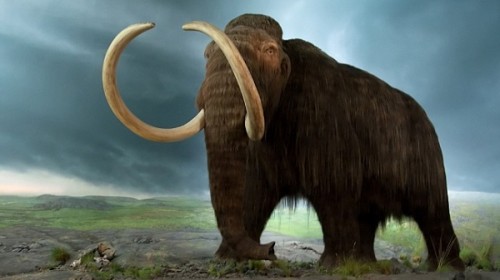 “Công viên kỷ Jura” sắp ra mắt tại Nga với sự hồi sinh của voi ma mút - Ảnh 1.