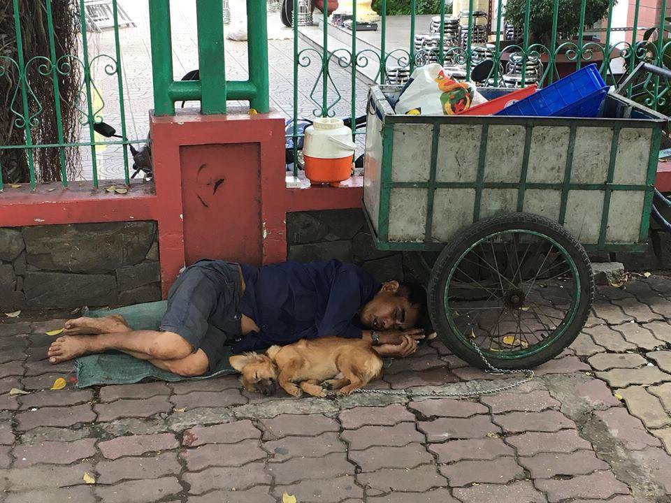 Nghẹn ngào hình ảnh chú chó nằm ngủ ngon lành bên người chủ nghèo trên vỉa hè sau những giờ mưu sinh vất vả - Ảnh 1. Nghẹn ngào hình ảnh chú chó nằm ngủ ngon lành bên người chủ nghèo trên vỉa hè sau những giờ mưu sinh vất vả - Ảnh 1.