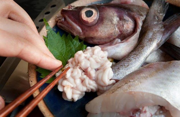 Rùng mình với những món khoái khẩu cực dị của người Nhật: tinh trùng cá, mực “zombie”, kem vị nôn mửa - Ảnh 1.