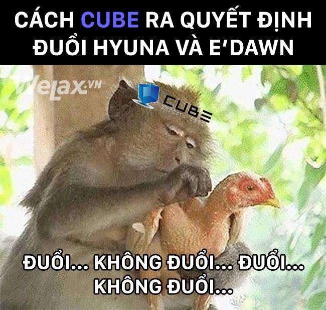 Cư dân mạng khi theo dõi drama nhà CUBE với HyunA và EDawn ngày hôm nay: Đuổi hay không đuổi nói một lời thôi!! - Ảnh 9.