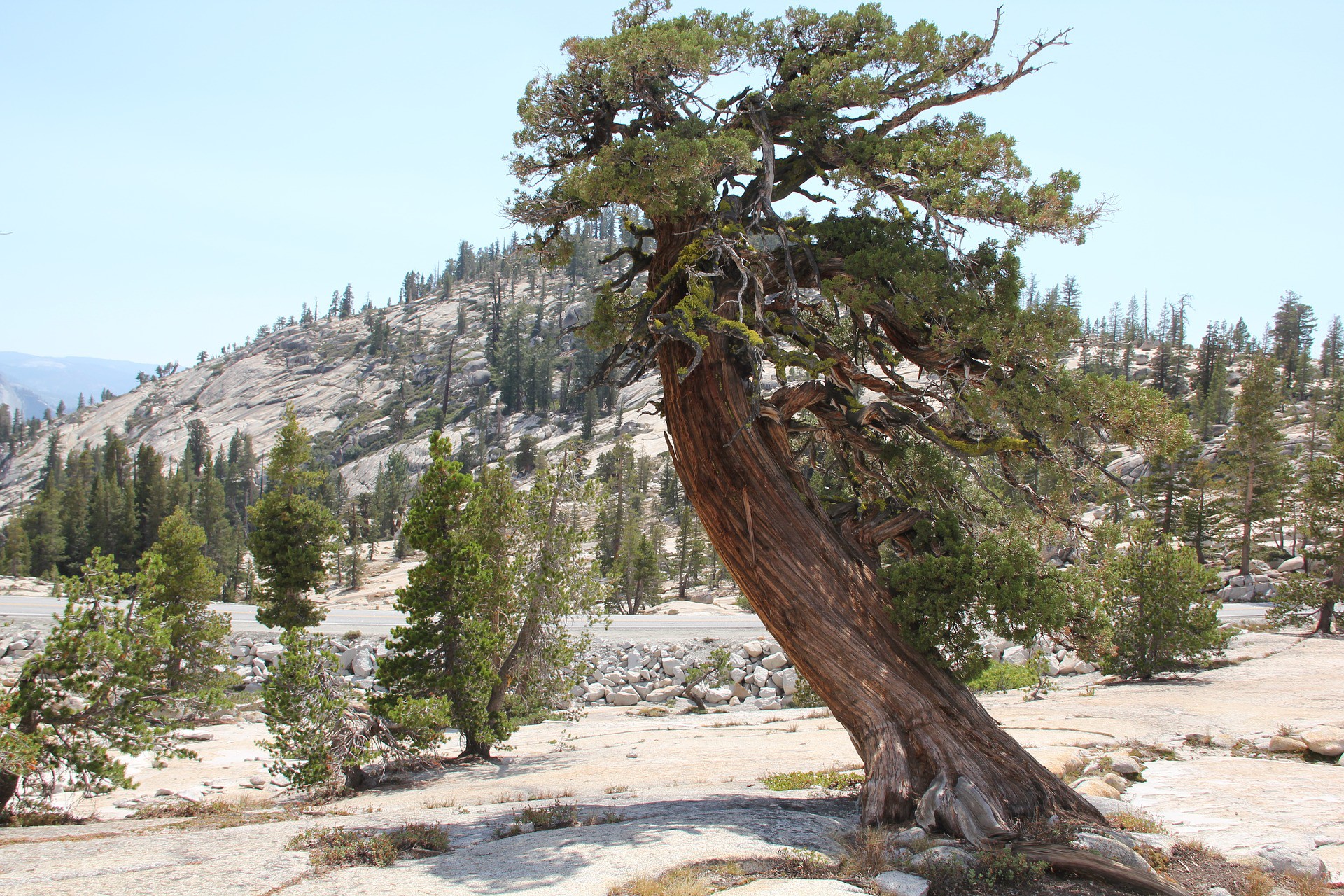 BBC tổng hợp những con số ấn tượng nhất của nền giáo dục khắp thế giới, điều thứ 2 và thứ 5 sẽ khiến bạn bất ngờ - Ảnh 2. BBC tổng hợp những con số ấn tượng nhất của nền giáo dục khắp thế giới, điều thứ 2 và thứ 5 sẽ khiến bạn bất ngờ - Ảnh 2.