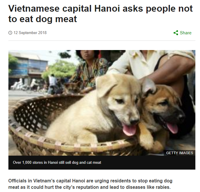 Góc nhìn thú vị của nhiều báo lớn quốc tế về vấn đề ăn thịt chó tại Việt Nam - Ảnh 3.