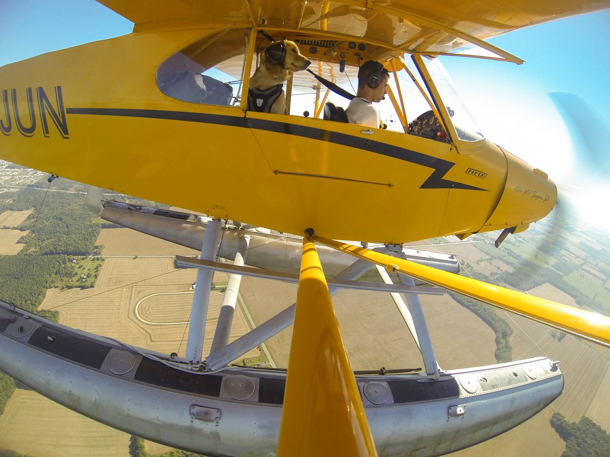 Chùm ảnh vui: Những khoảnh khắc đời thường nhưng đủ để bạn có một tràng cười sảng khoái - Ảnh 4.