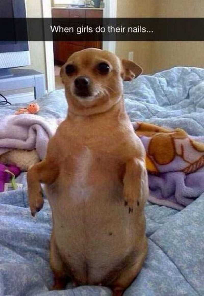 Chùm ảnh vui: Những khoảnh khắc đời thường nhưng đủ để bạn có một tràng cười sảng khoái - Ảnh 6.