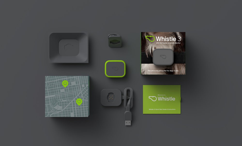Vòng cổ định vị Whistle 3: bảo bối theo dõi boss dành cho hội sen Rich Kid - Ảnh 2.