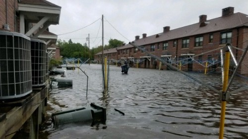 Siêu bão Florence có thể trút 37,8 nghìn tỷ lít nước khi đổ bộ vào Mỹ - Ảnh 5.
