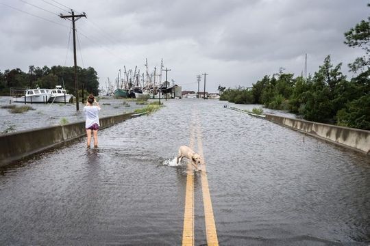 Philippines mở kho gạo bị tịch thu cứu trợ dân trong siêu bão Mangkhut - Ảnh 6.