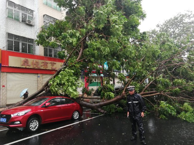 Siêu bão Mangkhut khiến giao thông công cộng tại Quảng Đông (Trung Quốc) tê liệt - Ảnh 1.