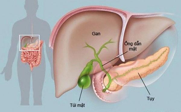 Bệnh viêm tụy cấp khiến một chàng trai 19 tuổi đang khỏe mạnh bỗng tử vong trong chưa đầy 1 tháng cấp cứu ghê gớm thế nào?  - Ảnh 3.