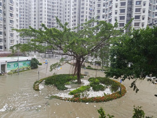 Bão Mangkhut xô nghiêng nhà cửa, người già ở Hồng Kông quyết không sơ tán - Ảnh 4.