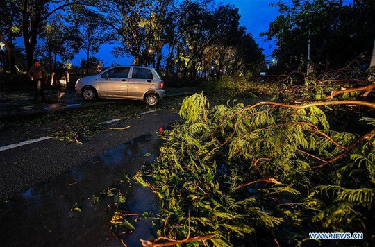 Bão Mangkhut: 2 người Trung Quốc thiệt mạng 2,4 triệu người phải sơ tán - Ảnh 1.