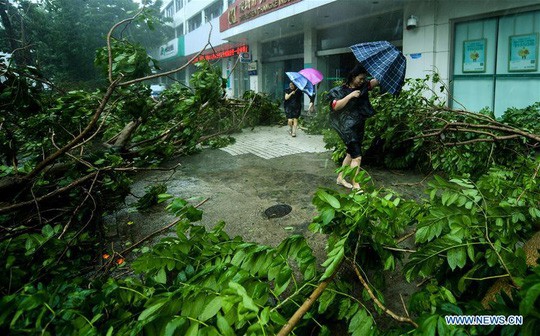 Bão Mangkhut: 2 người Trung Quốc thiệt mạng 2,4 triệu người phải sơ tán - Ảnh 2.