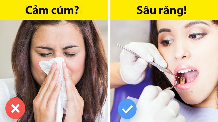 5 sự thật ai cũng tưởng là đúng nhưng hóa ra sai một cách toàn diện - Ảnh 3. 5 sự thật ai cũng tưởng là đúng nhưng hóa ra sai một cách toàn diện - Ảnh 3.