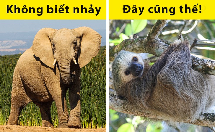5 sự thật ai cũng tưởng là đúng nhưng hóa ra sai một cách toàn diện - Ảnh 5. 5 sự thật ai cũng tưởng là đúng nhưng hóa ra sai một cách toàn diện - Ảnh 5.
