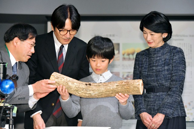 Những hình ảnh hiếm hoi về Gakushuin, ngôi trường chỉ dành cho Hoàng tử, Công chúa, con cháu Hoàng gia Nhật theo học - Ảnh 9.