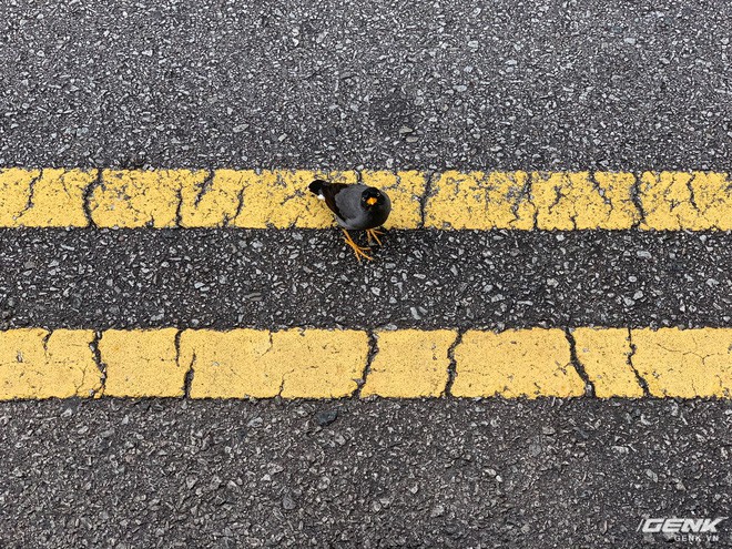 Trải nghiệm nhanh camera iPhone XS Max tại Singapore: Chụp auto ngon nhưng t&iacute;nh năng xo&aacute; ph&ocirc;ng vẫn chưa thật sự thuyết phục - Ảnh 16.