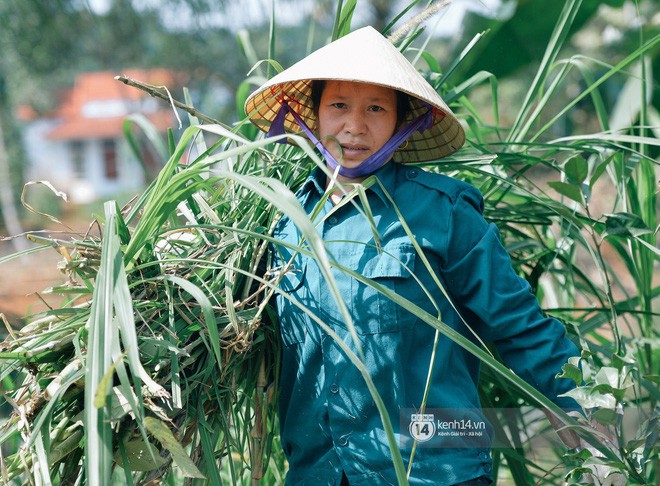 Không phải gì đặc biệt, đây mới là thứ mà thủ môn Bùi Tiến Dũng nghĩ đẹp nhất thế giới Việt Nam - Ảnh 3.