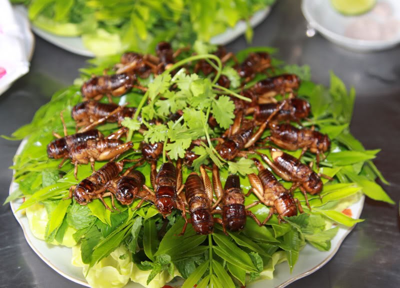 Ở vùng Long Khánh có một món đặc sản thử thách độ can đảm của nhiều người nhưng ai ăn xong cũng mắc ghiền - Ảnh 1. Ở vùng Long Khánh có một món đặc sản thử thách độ can đảm của nhiều người nhưng ai ăn xong cũng mắc ghiền - Ảnh 1.