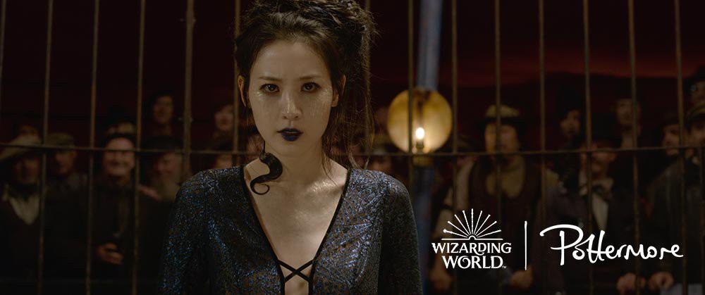 Tung tạo hình rắn độc đẹp quên chết, ấy thế mà trailer Fantastic Beasts 2 vẫn bị fan la ó - Ảnh 7.