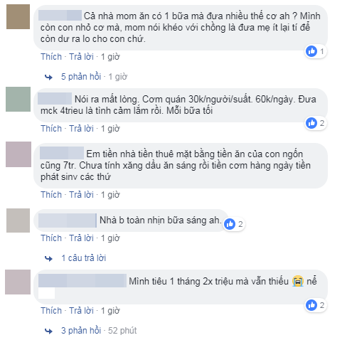 Khoe 1 th&aacute;ng ti&ecirc;u hết 3,7 triệu cho cả nh&agrave;, n&agrave;ng d&acirc;u vẫn bị mắng dốt khi đưa mẹ chồng 8 triệu chỉ để nấu bữa tối - Ảnh 2.
