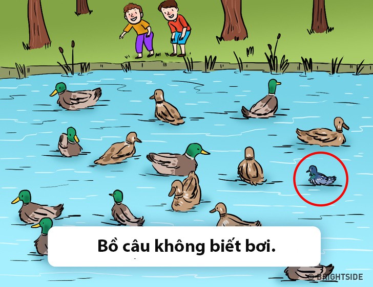 Tìm ra lỗi sai của những bức hình này trong 1 phút, bạn là người tinh mắt và logic bậc nhất đấy - Ảnh 24.