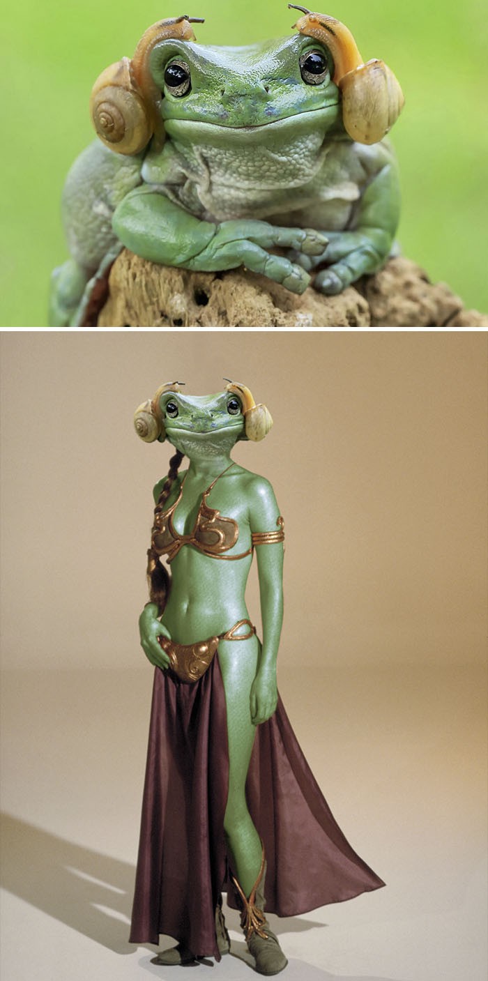Chuyện ông chú cầm quả dưa chuột và những trận chiến Photoshop vô tiền khoáng hậu của cư dân mạng - Ảnh 11. Chuyện ông chú cầm quả dưa chuột và những trận chiến Photoshop vô tiền khoáng hậu của cư dân mạng - Ảnh 11.