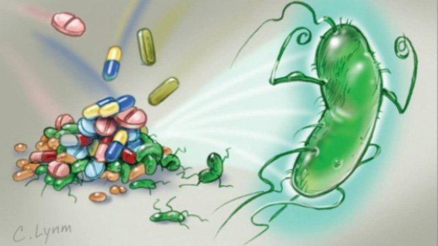 Cảnh báo: 12 loại vi khuẩn kháng kháng sinh đáng sợ đang là mối đe dọa rất lớn đến sức khỏe con người - Ảnh 1.