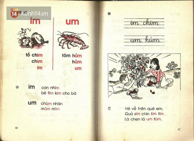 Còn nhớ những trang sách thời tập đọc ê, a này nghĩa là bạn đang bắt đầu già đi rồi đó - Ảnh 18.