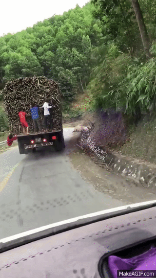 Fast & furious: Trẩu tre đu xe tải đang chạy để trộm mía tại Nghệ An - Ảnh 2.