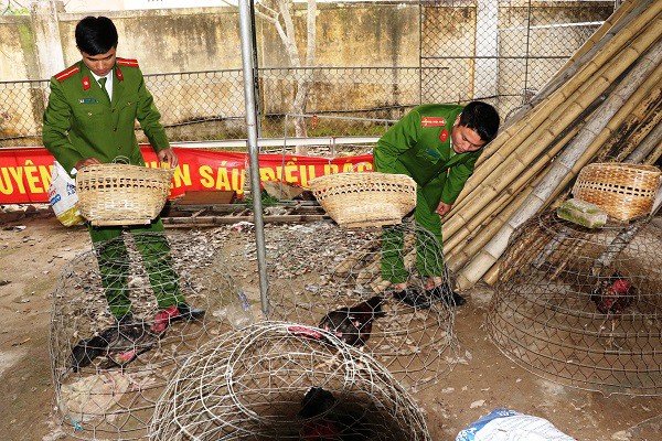 Cảnh sát mật phục phá sới gà, bắt giữ 30 con bạc đang say sưa “sát phạt” - Ảnh 2.